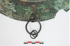 Foto von Bronzebreitrandfußschale (NHMW-PRAE-024138)